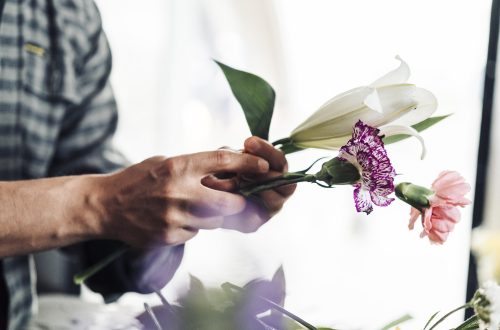 Young male florist working in flower shop